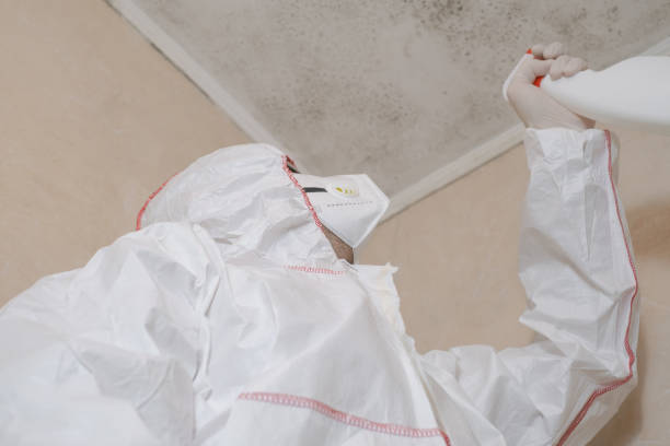 Best Residential Mold Removal  in Mission, SD