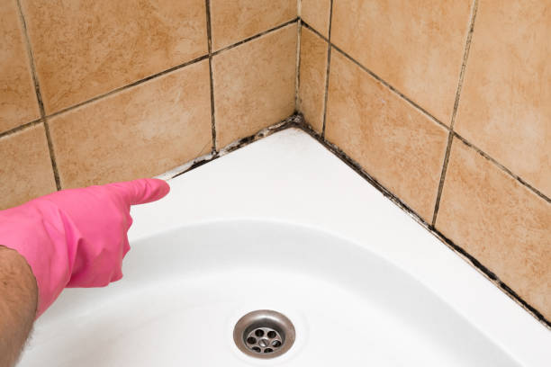 Best Professional Mold Removal  in Mission, SD